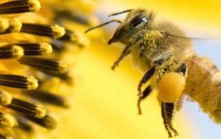 Het verspreiden van video content met goede videomarketing